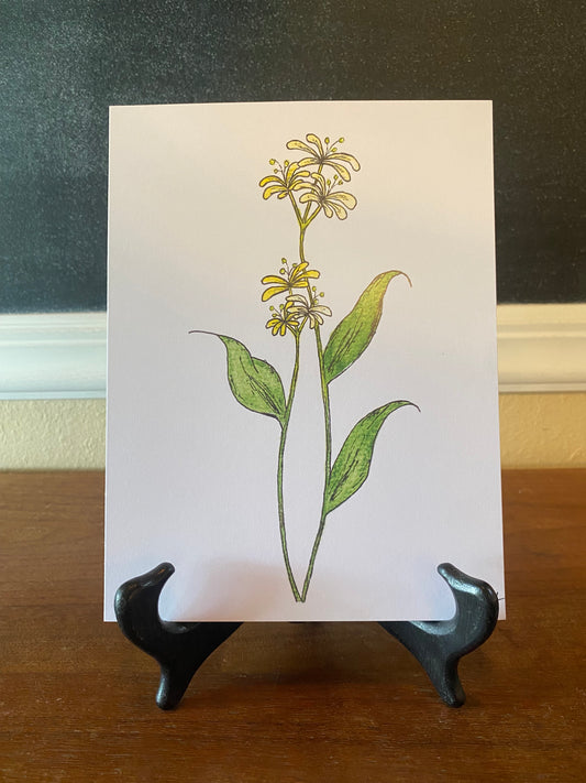 June/Honeysuckle Birth Month Flower