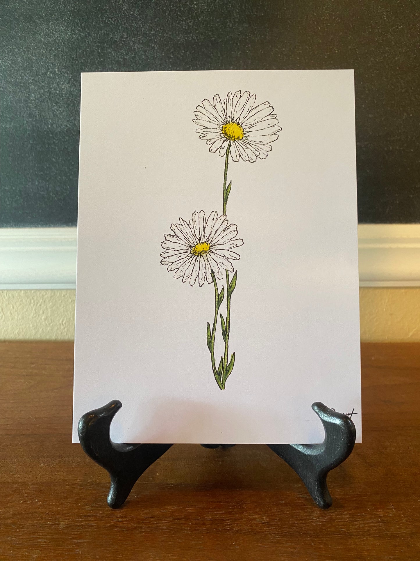 April/Daisy Birth Month Flower