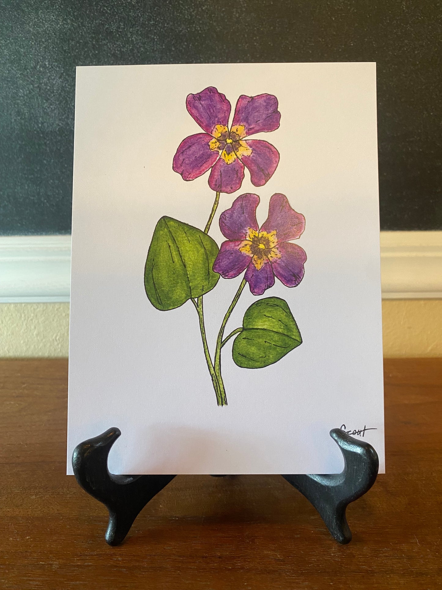 February/Violet Birth Month Flower