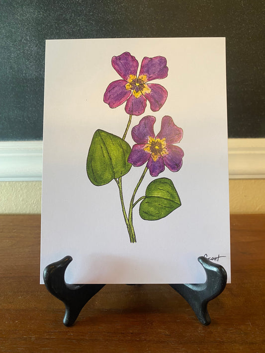 February/Violet Birth Month Flower